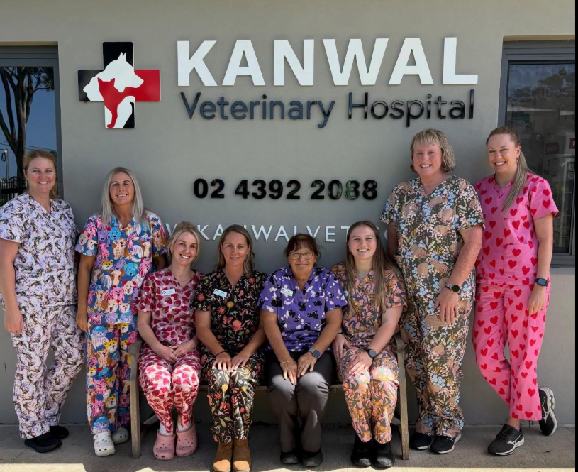 Staff posing outside Kanwal Veterinary Hospital sign, wearing colorful scrubs and smiling — Kanwal Veterinary Hospital In Kanwal, NSW