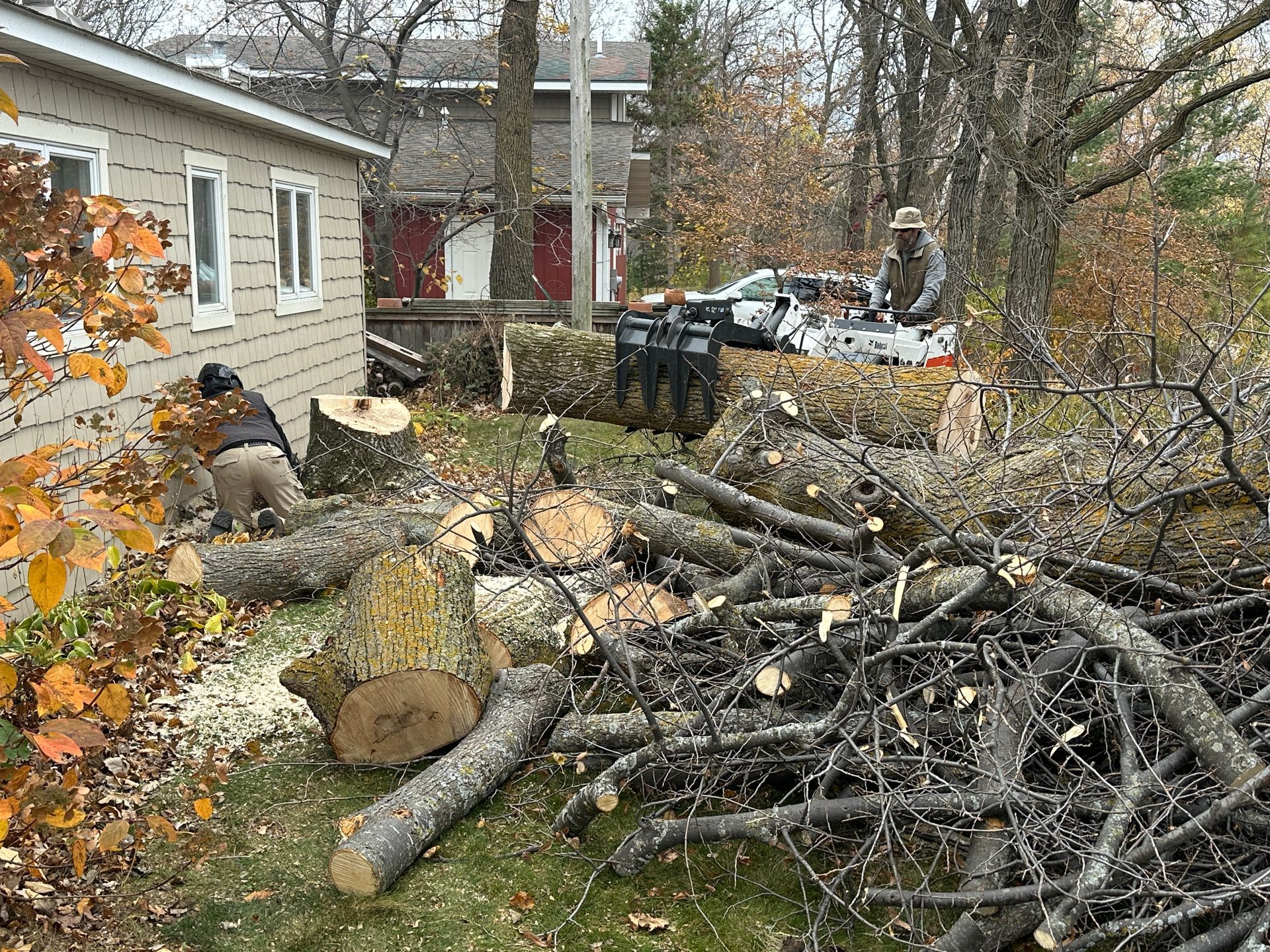 Person cutting branches with a chainsaw, outdoors.