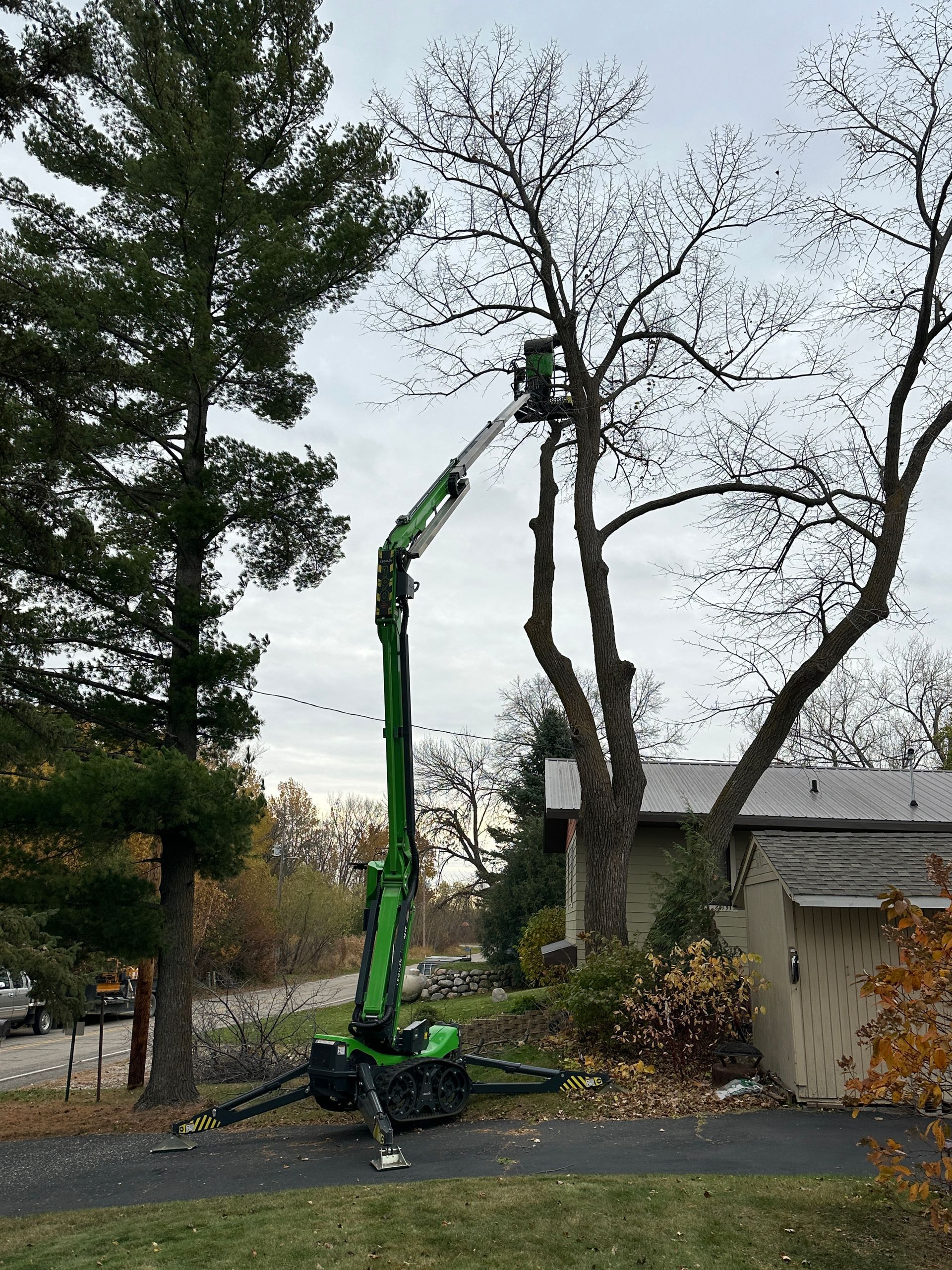 A green tree trimming lift trimming a tree in a residential area on an overcast day.