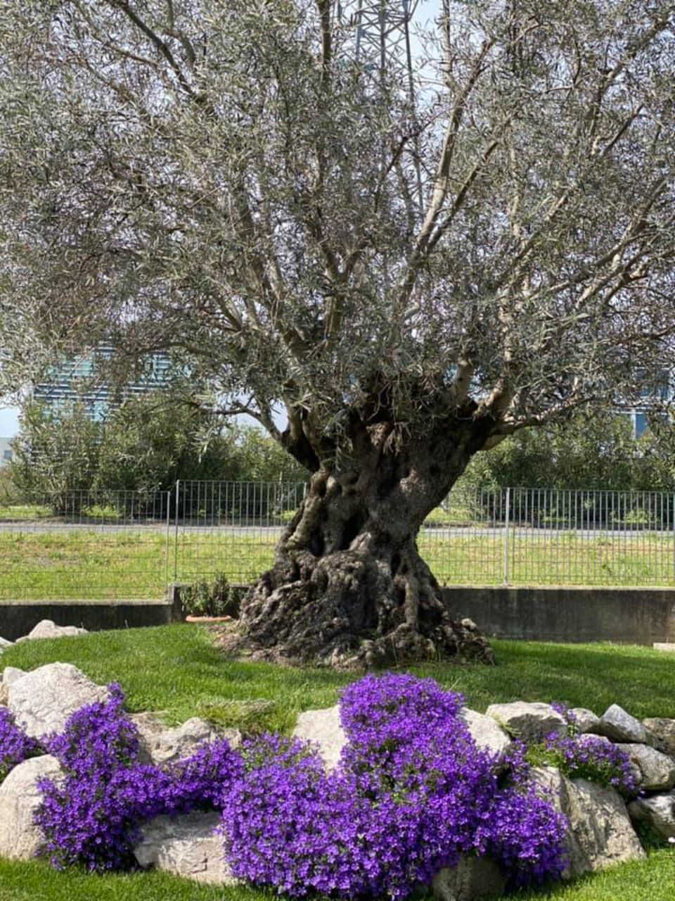 giardino azienda
