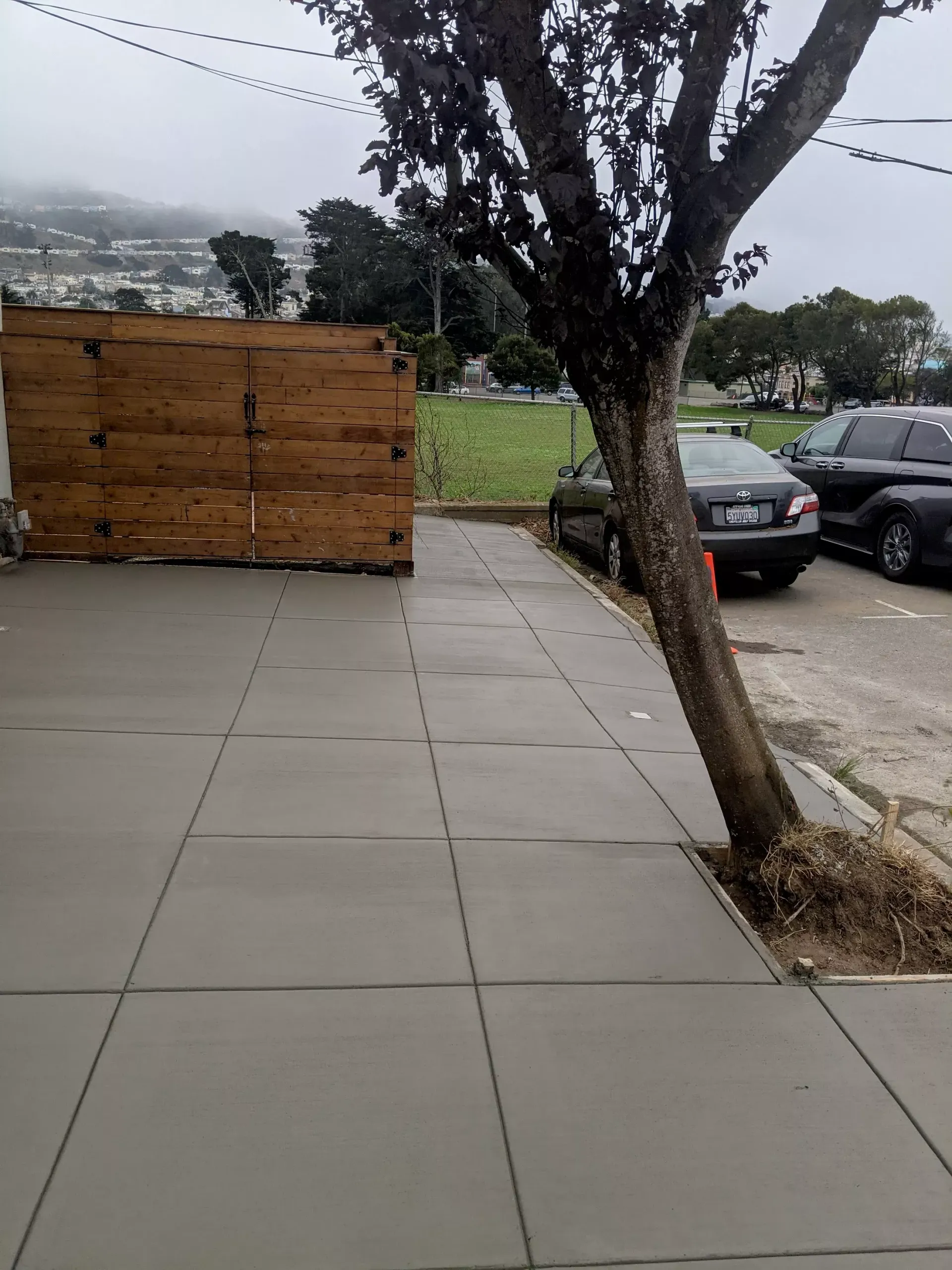 Sidewalk, wooden fence, parked cars, and a tree on an overcast day.