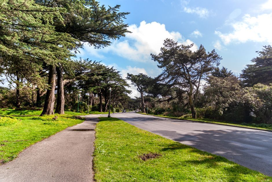 Sunny park path beside a road, lined with tall trees and green grass under a blue sky.