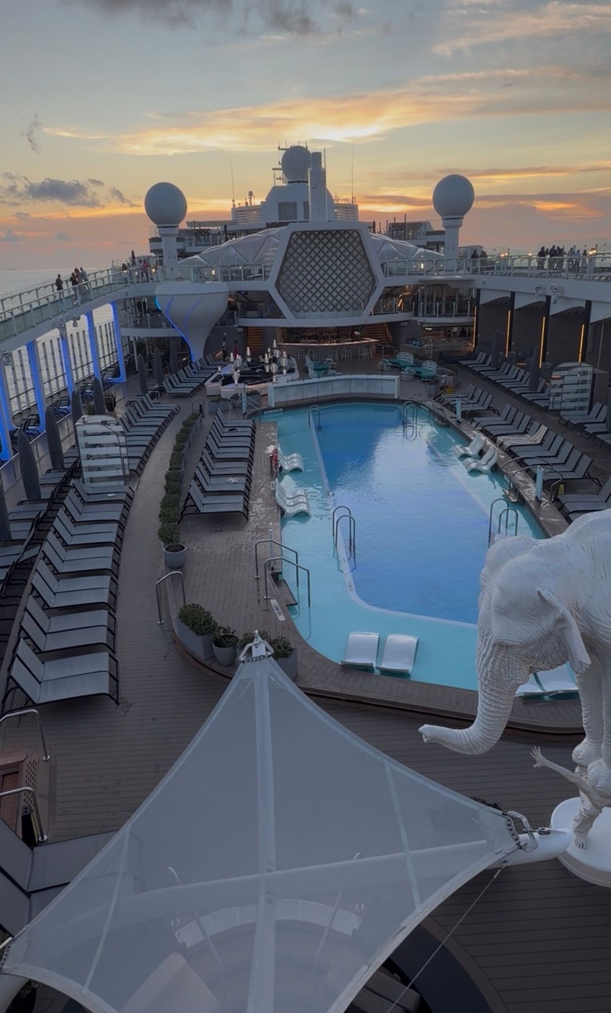 Pool Deck Celebrity Beyond