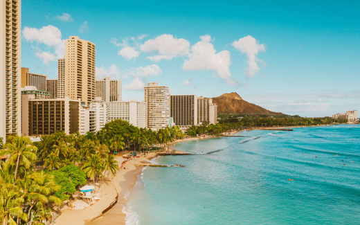 Hawaiian Vacation
