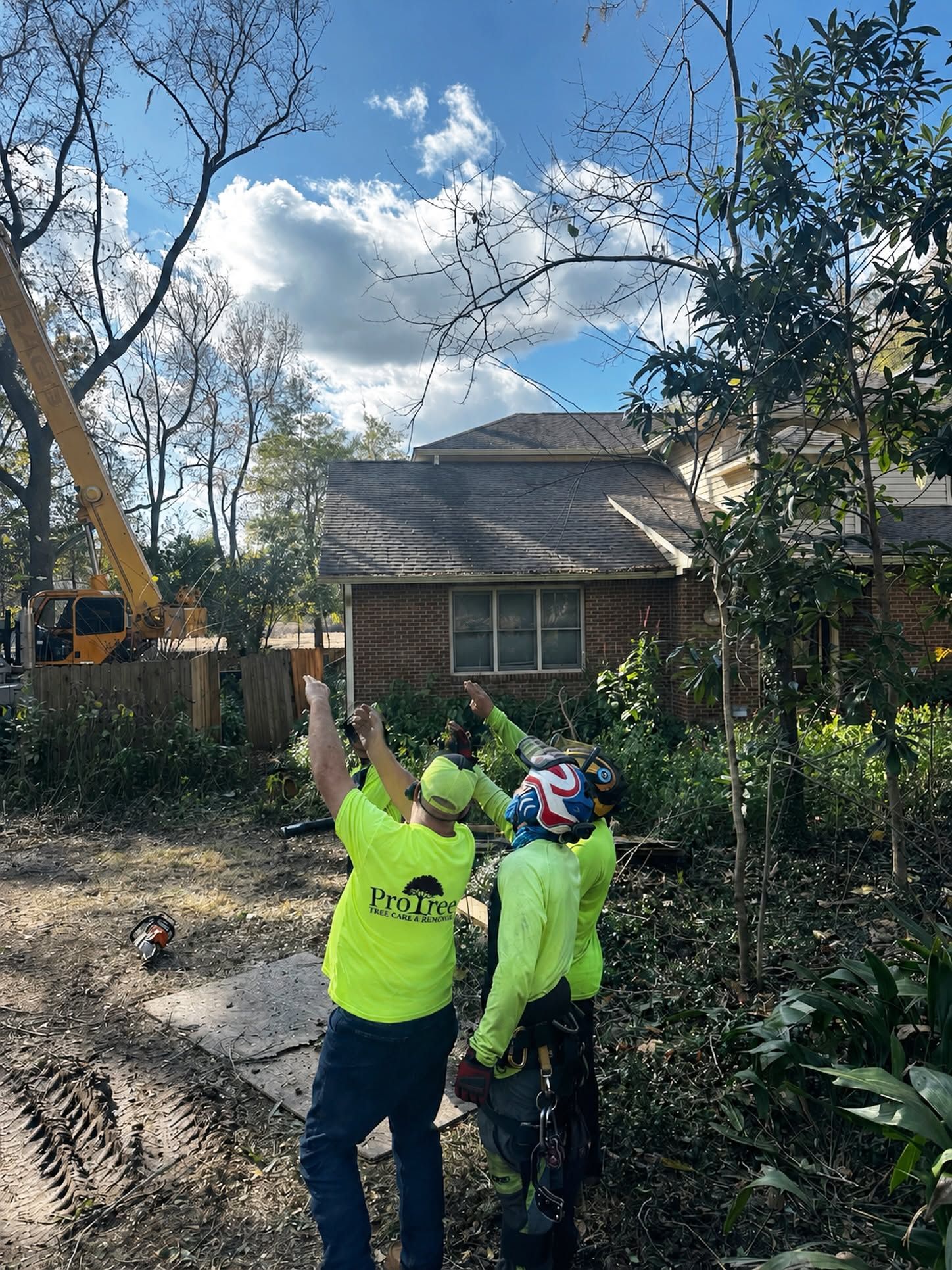 Two workers in neon jackets point up at tree branches beside a house in a wooded yard.