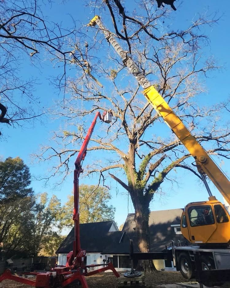 Yellow crane lifting tree branches beside a house on a clear day