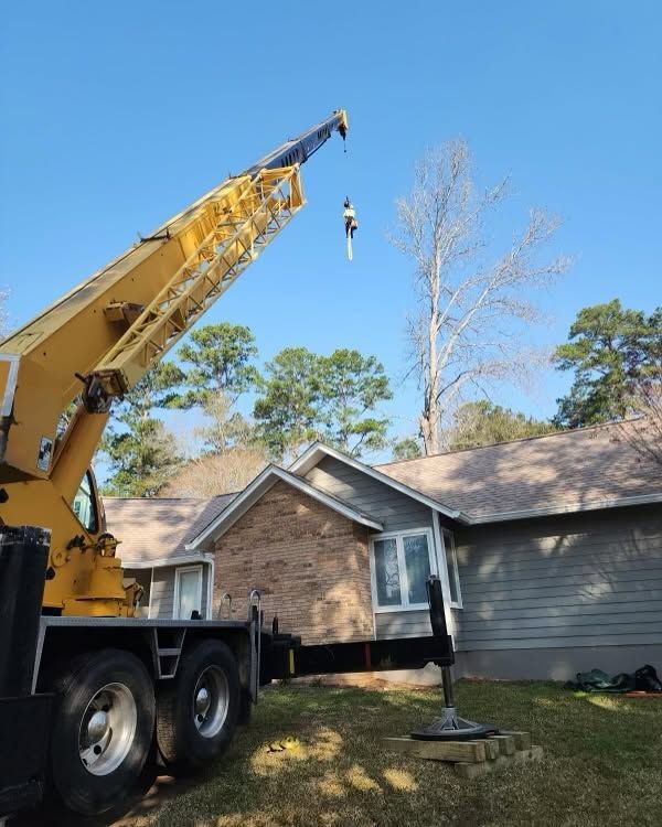 Yellow crane lifting a tree beside a suburban house on a clear day