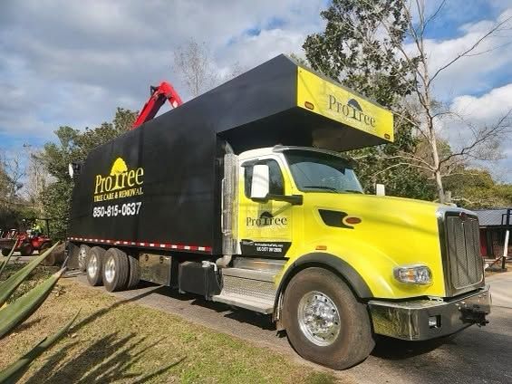 Yellow and black waste removal truck parked outdoors on a grassy roadside under cloudy skies