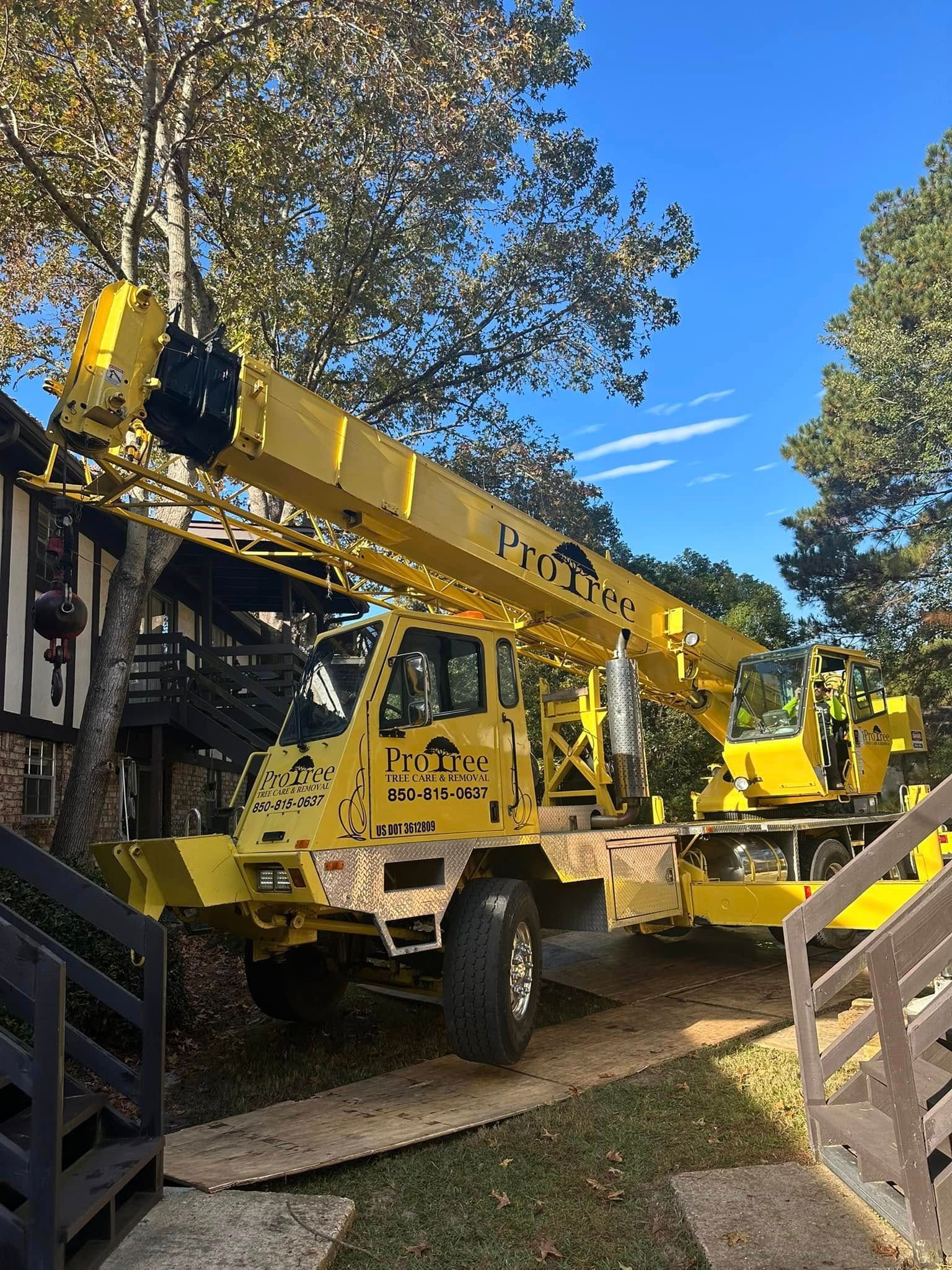 Yellow crane on a flatbed trailer in a wooded outdoor area, viewed through an open gate.