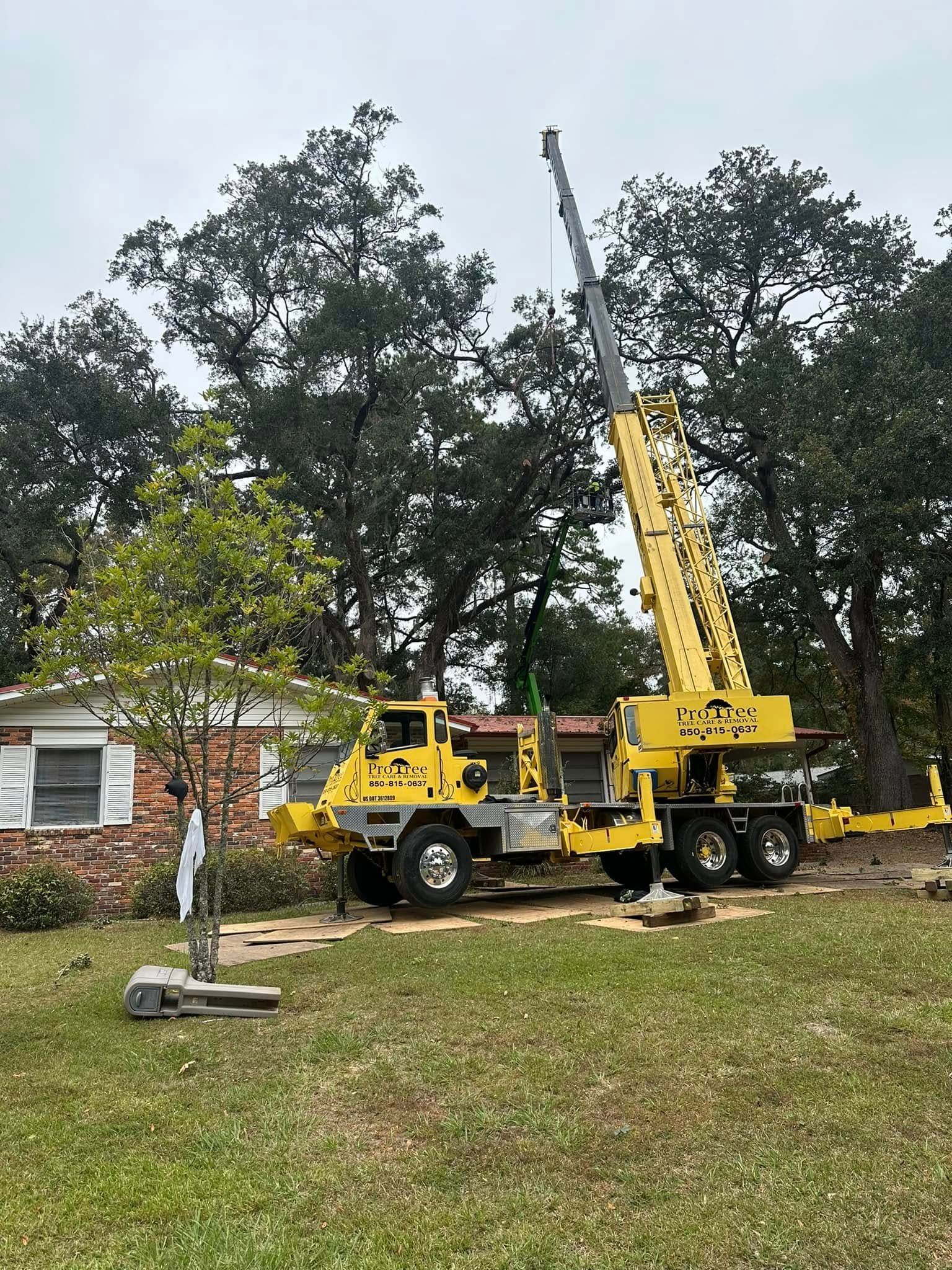 Yellow crane truck parked in a grassy yard beside a brick house and large trees, boom raised.