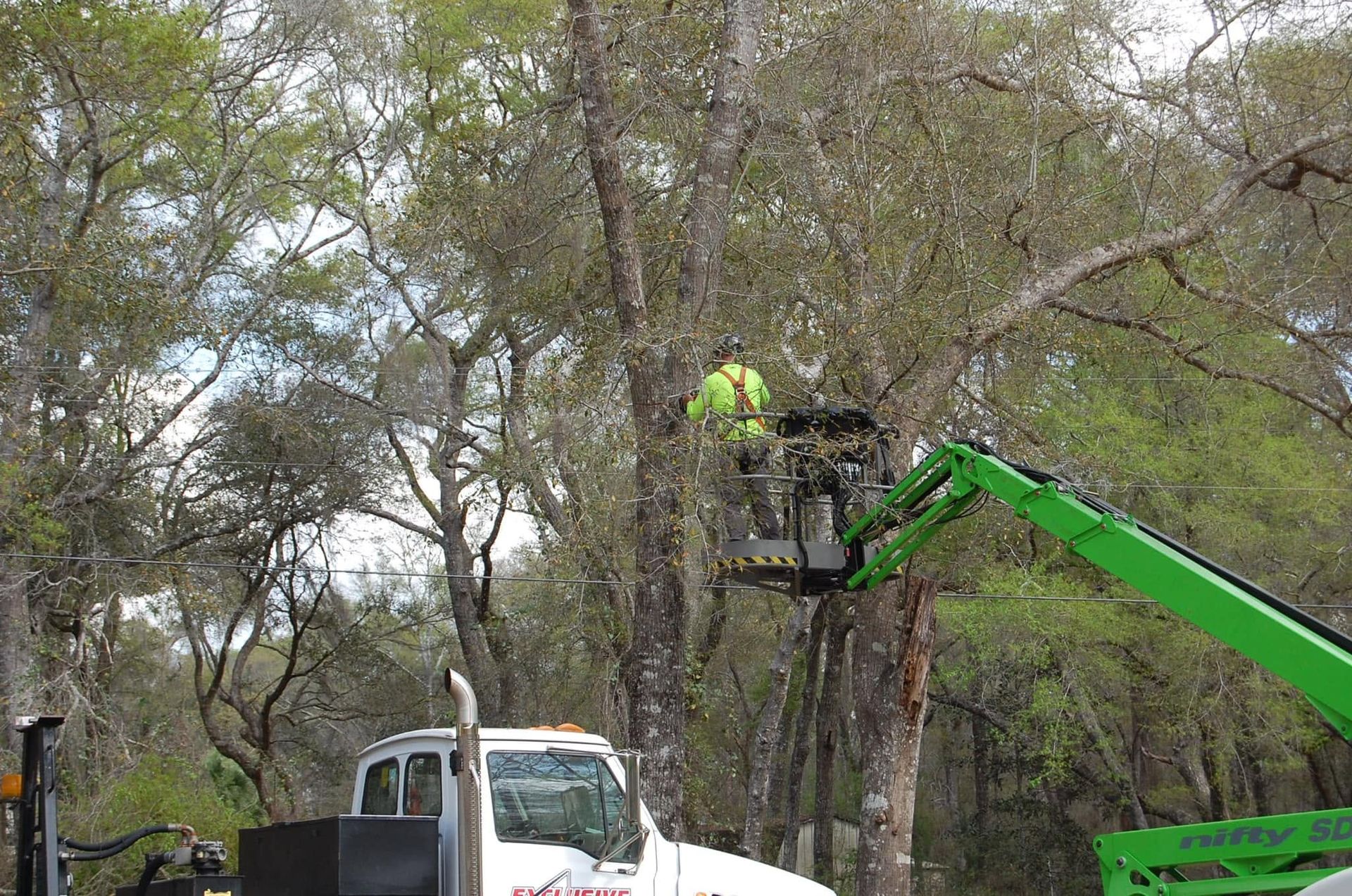 Worker in a green lift trimming trees beside a white truck in a wooded area