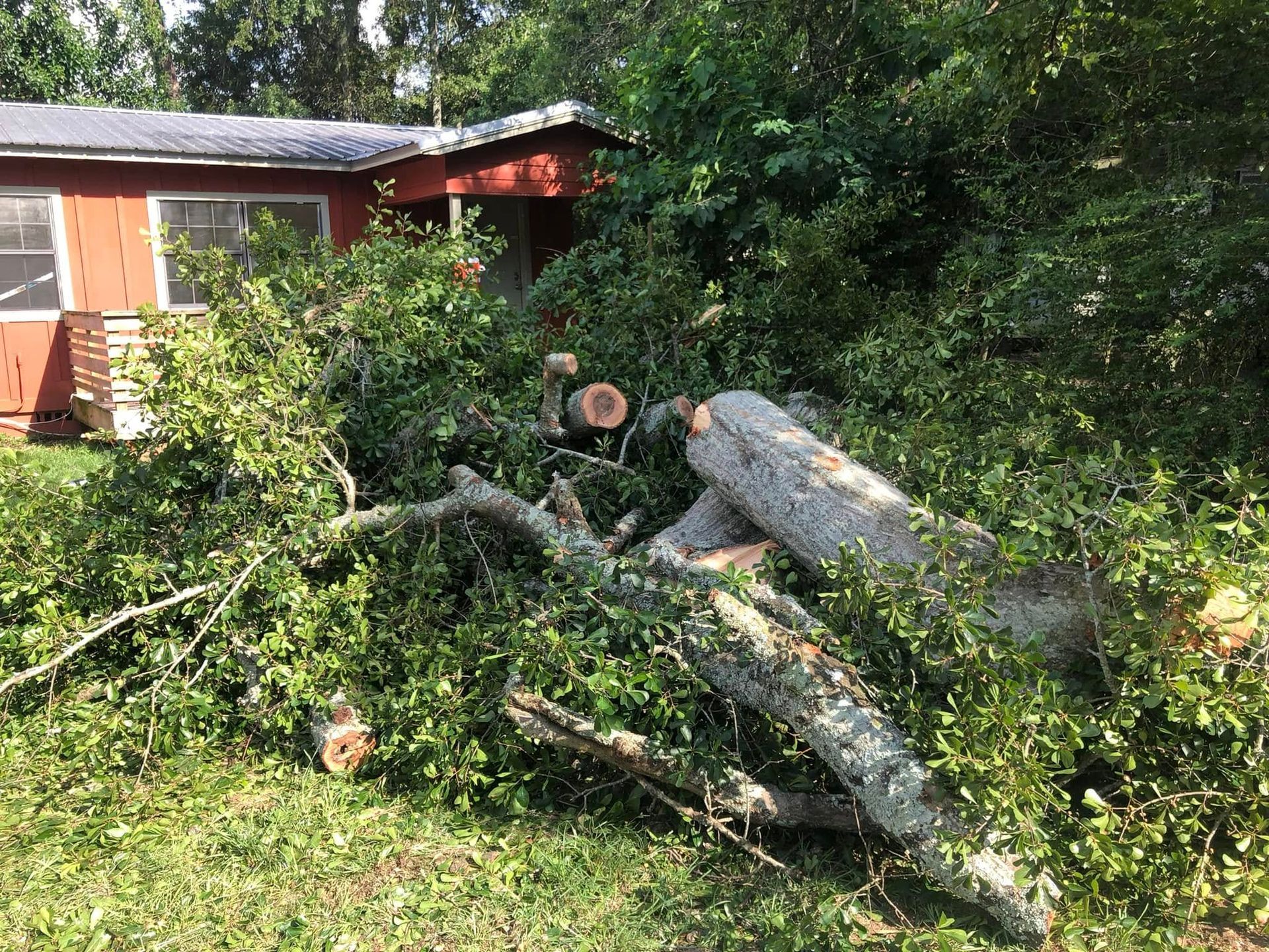 Felled tree branches and logs piled in a yard beside a red house and dense greenery