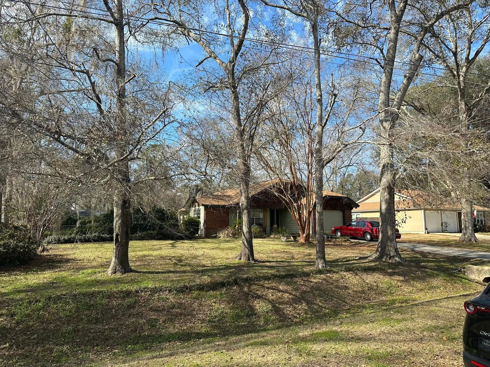 Tree-lined yard with a red car parked beside a house under a clear blue sky