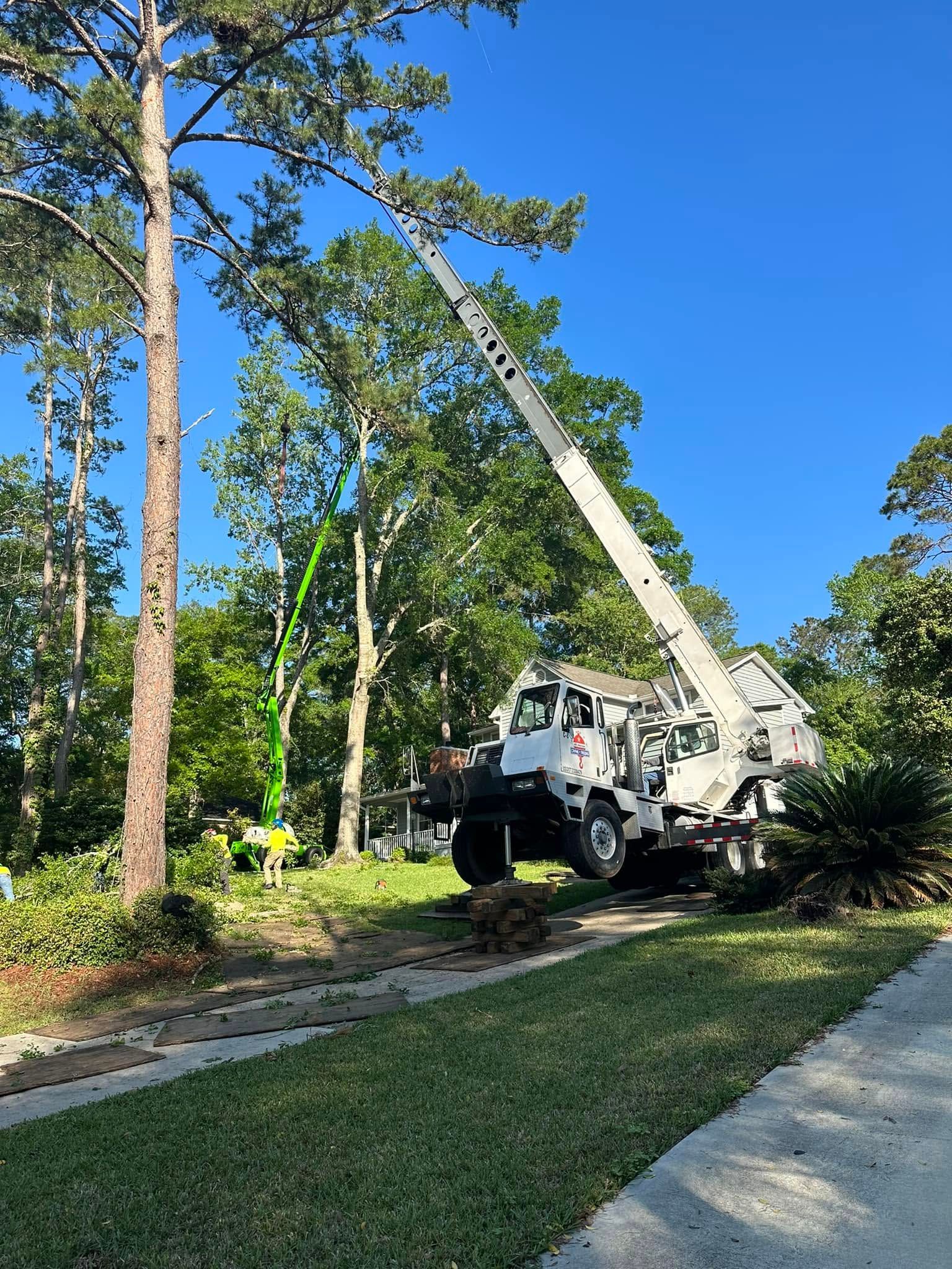 Utility truck with extended boom in a wooded area beside a sidewalk under a clear blue sky