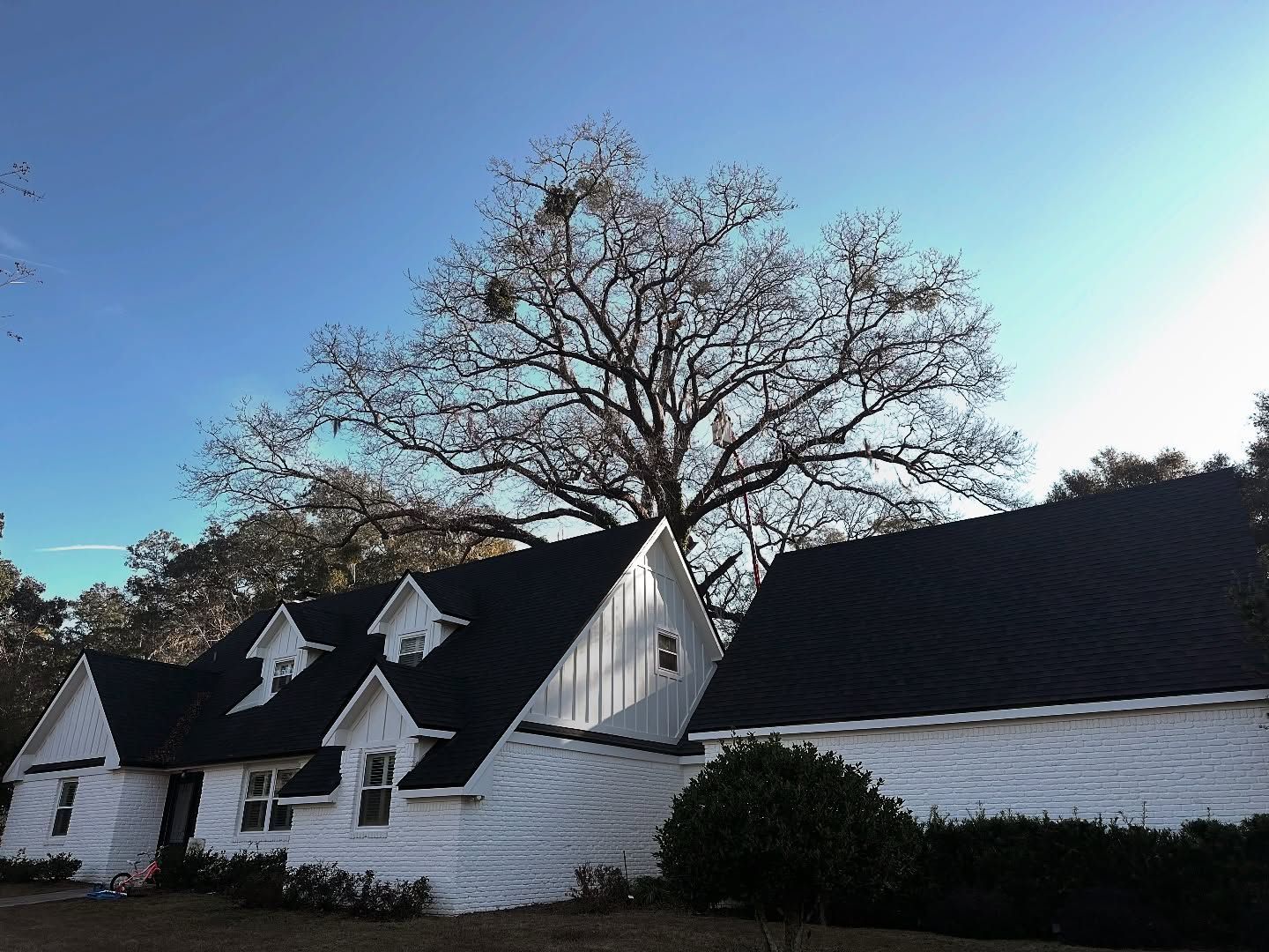 White houses with dark roofs beneath a large leafless tree at dusk
