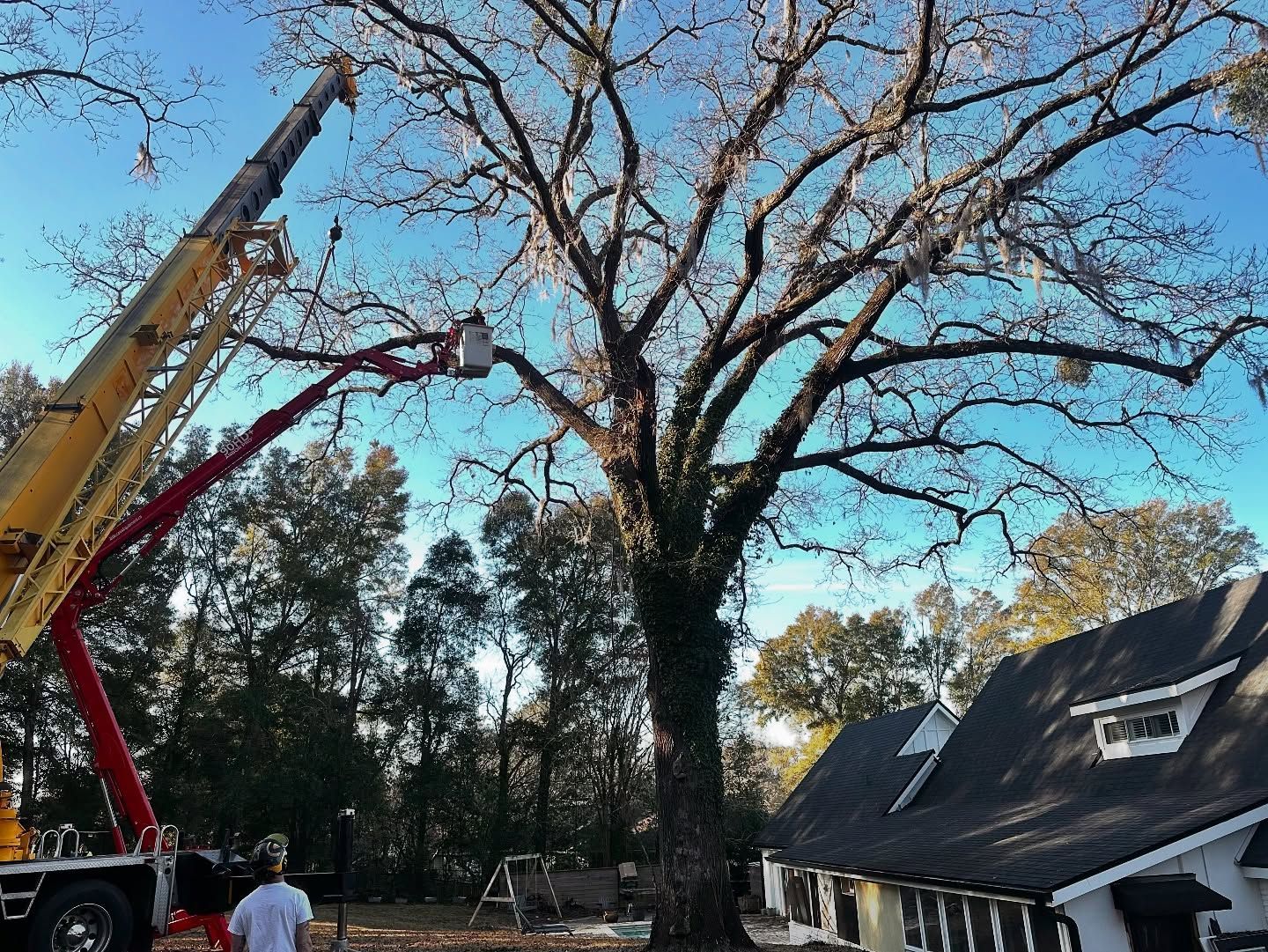 Fire truck ladder beside a large tree and a house, with two people standing below on a sunny day