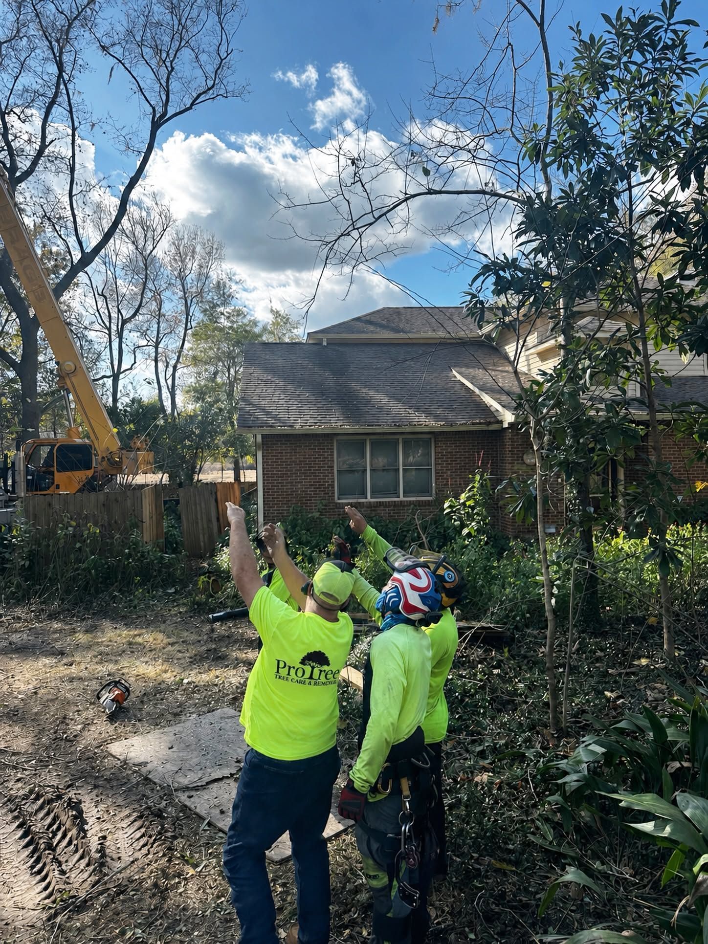 Two workers in neon safety shirts inspecting trees in front of a house