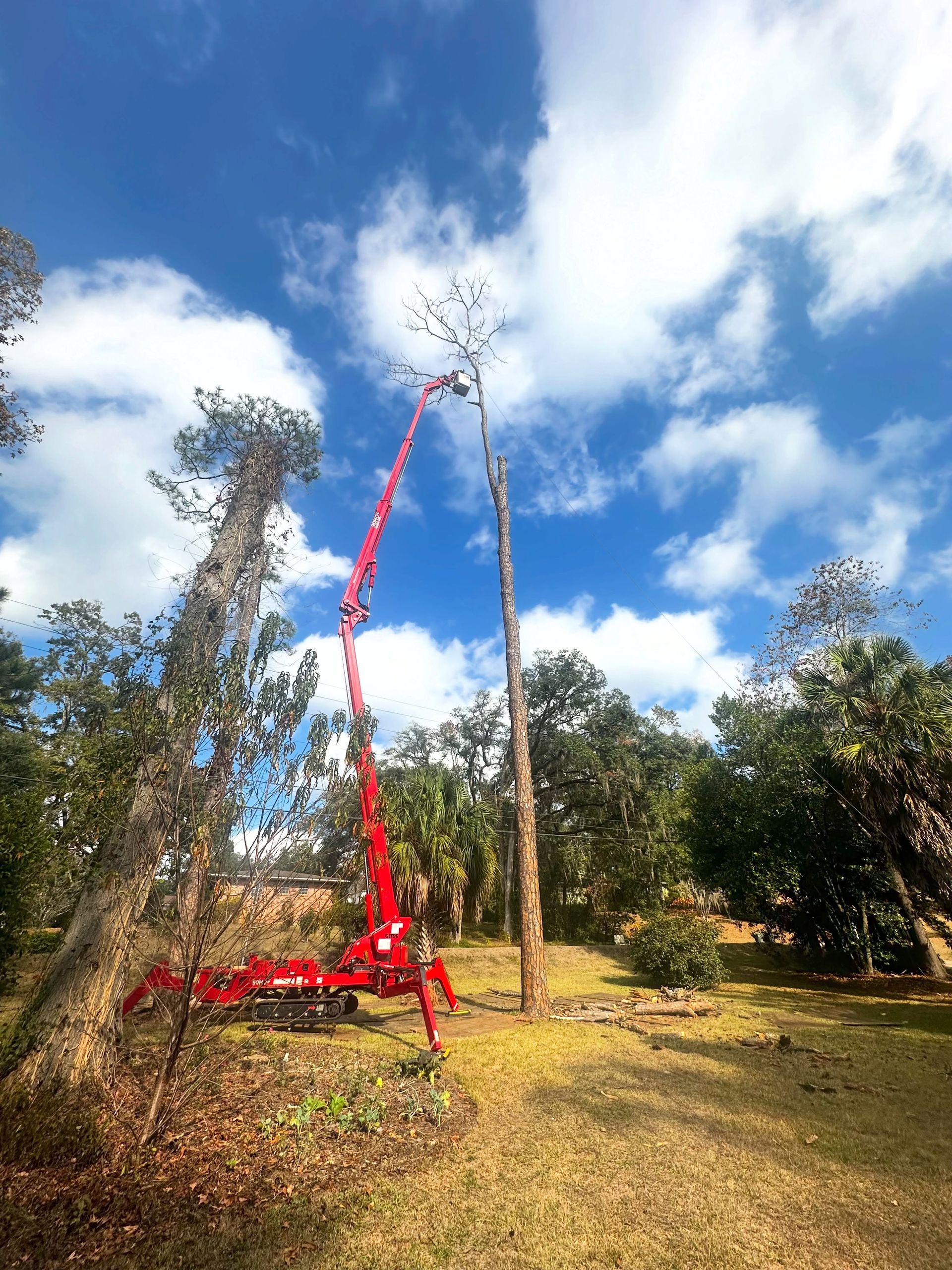 Red and yellow ribbon-like sculpture in a grassy field under a blue sky with scattered clouds.