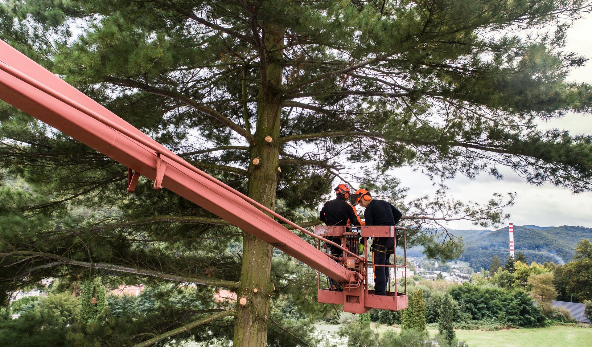 Two people on a red zipline platform among pine trees overlooking a valley