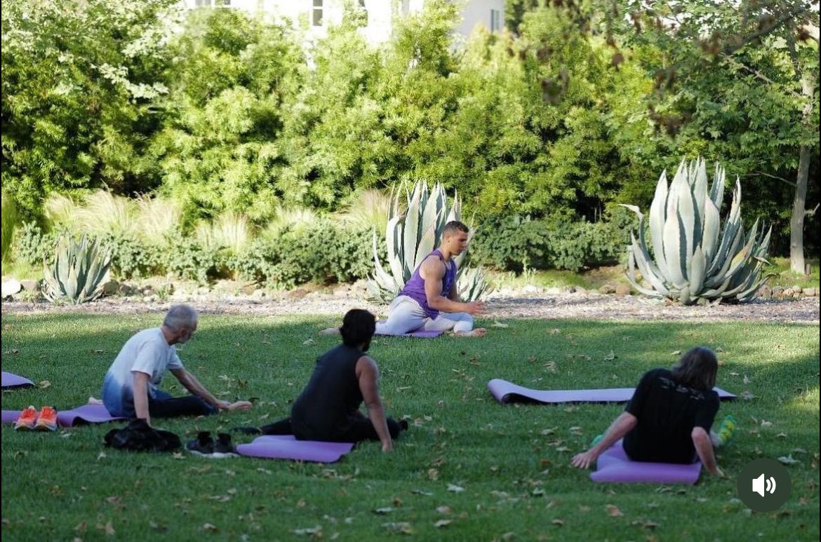 A group of people are doing yoga in a park.