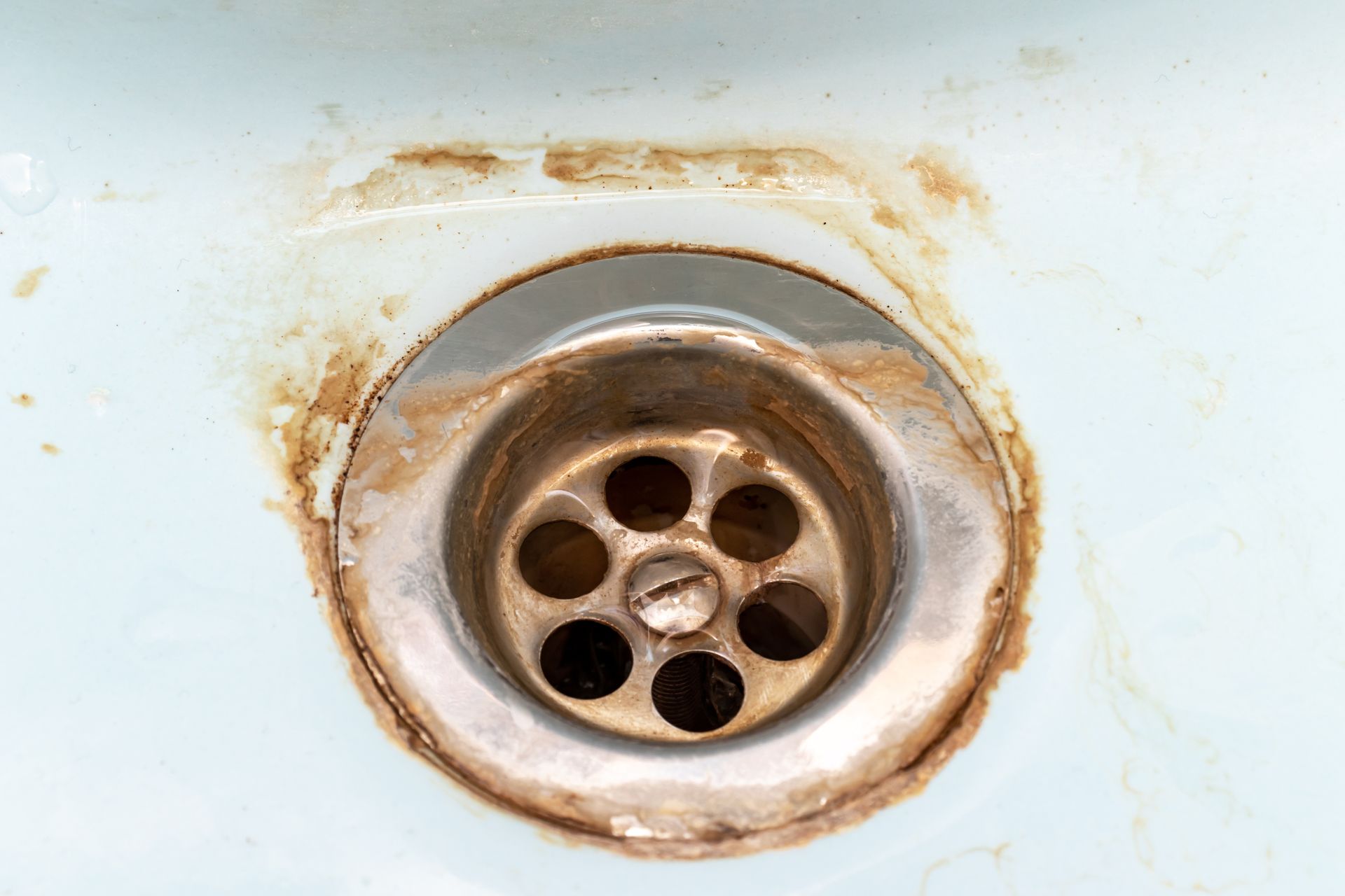 Close-up of a dirty, mineral-encrusted silver shower head, with many small spray holes.