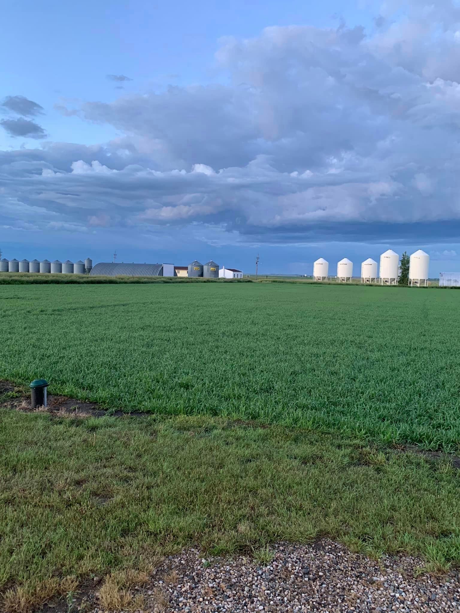 Green crop field with silos under a cloudy blue sky