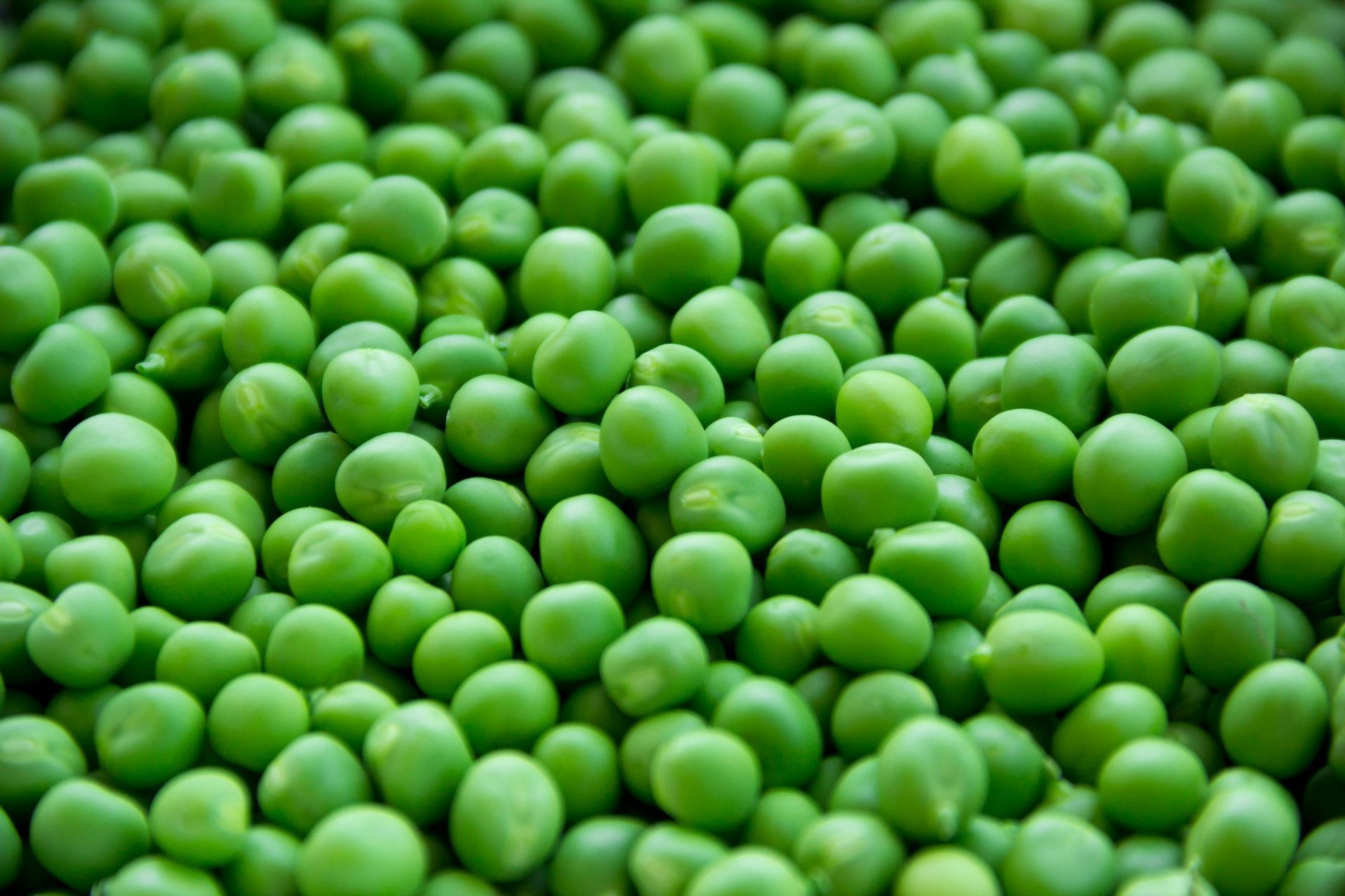 Close-up of many bright green peas piled together