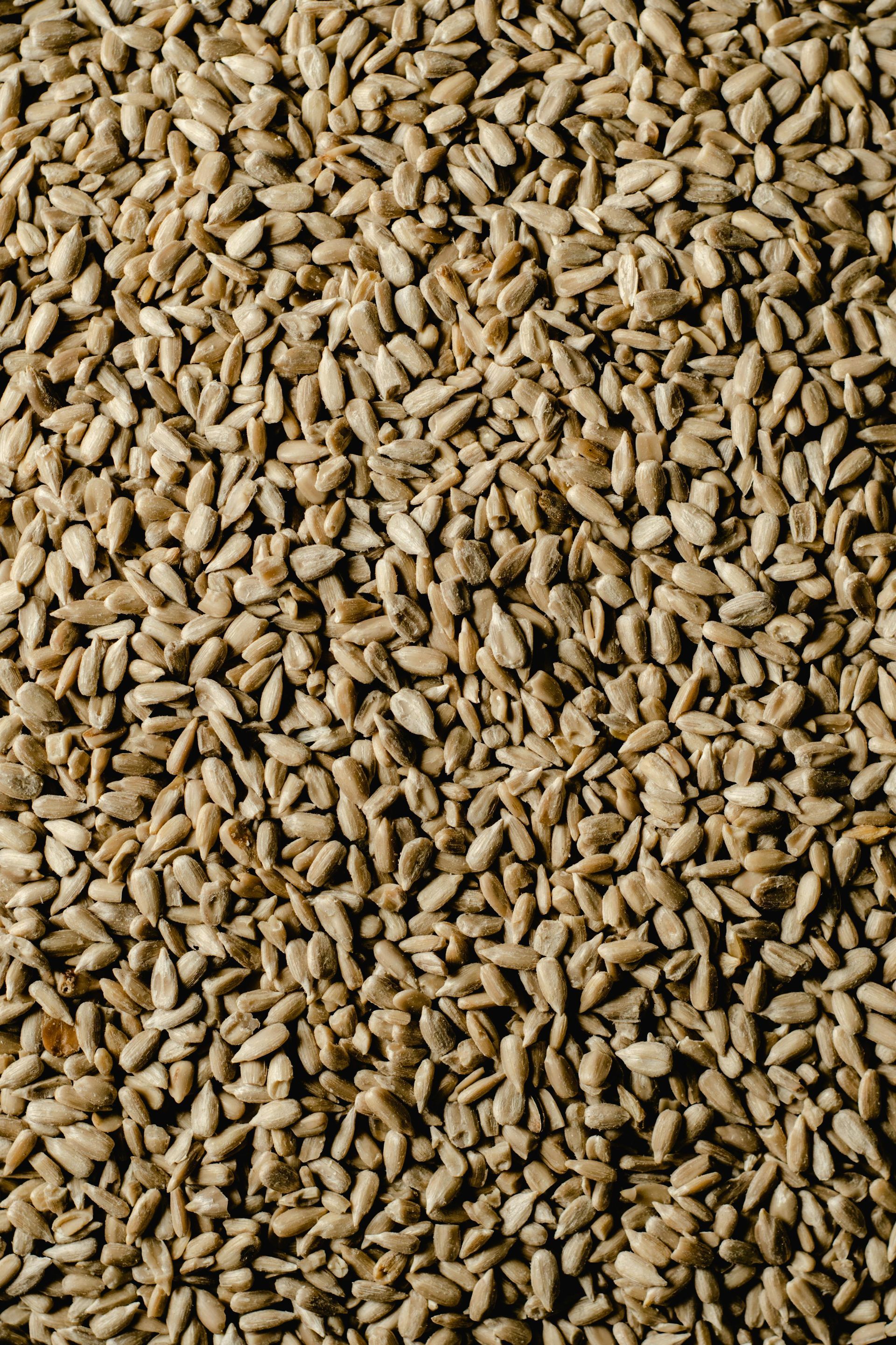 Close-up of a pile of tan grain kernels filling the frame