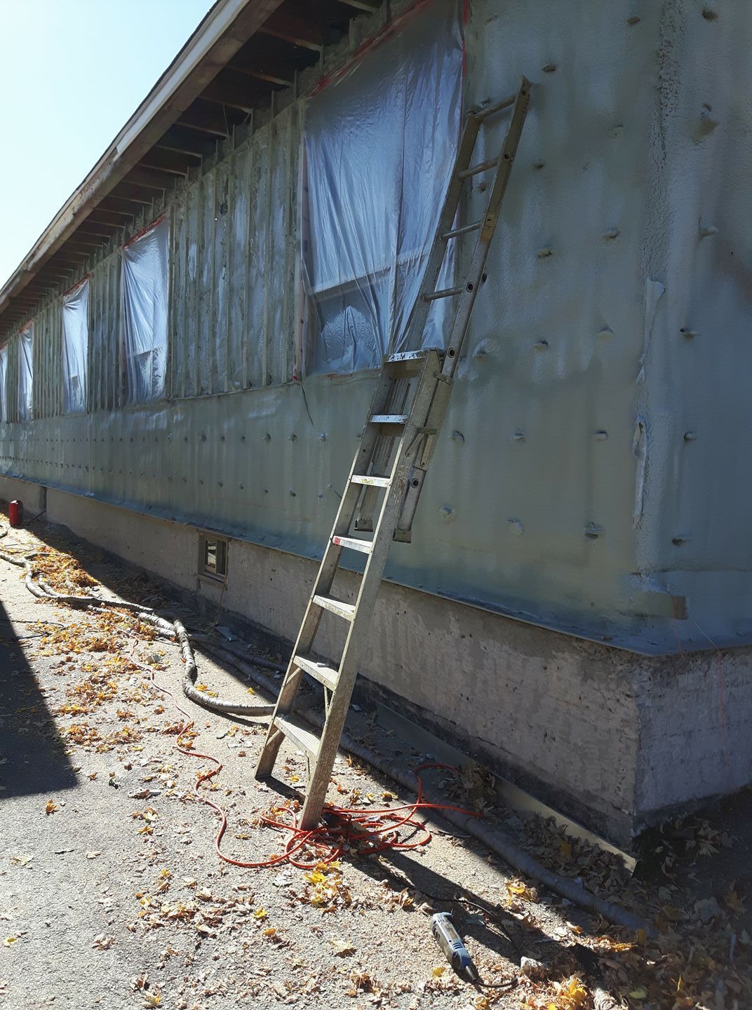 Échelle appuyée contre un bâtiment en construction; fenêtres couvertes, sol avec feuilles d'automne.