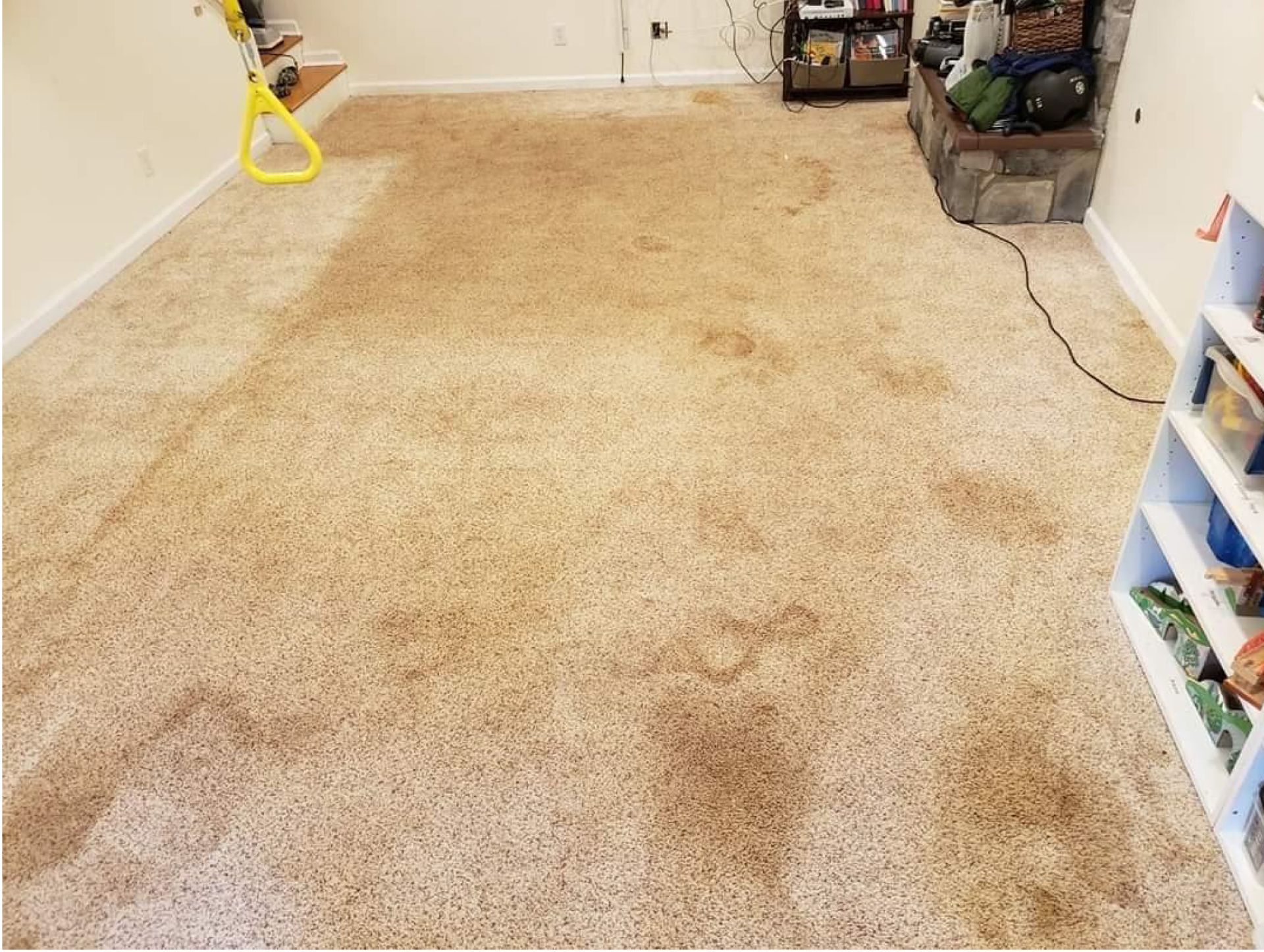 All Star Carpet Cleaning Before