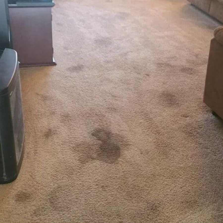 All Star Carpet Cleaning Before