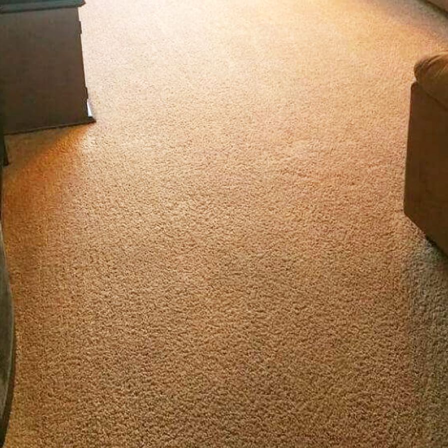 All Star Carpet Cleaning After