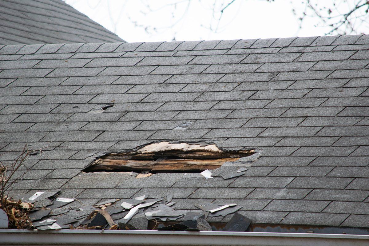 Damaged Roof — Jacksonville, FL — Triton Roofing and Restoration Damaged Roof — Jacksonville, FL — Triton Roofing and Restoration