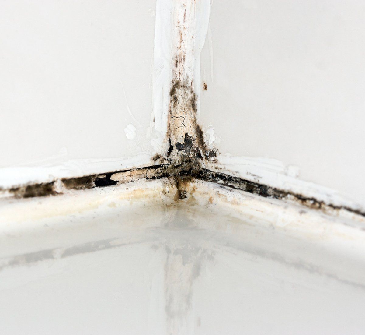 Mold In Bathroom Corner — Jacksonville, FL — Triton Roofing and Restoration Mold In Bathroom Corner — Jacksonville, FL — Triton Roofing and Restoration