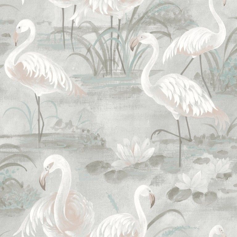 White flamingos standing in a pale marsh with reeds and soft gray water