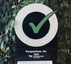 Perspectives 2025 Silver Green Check Perspectives 2025 Silver Green Check