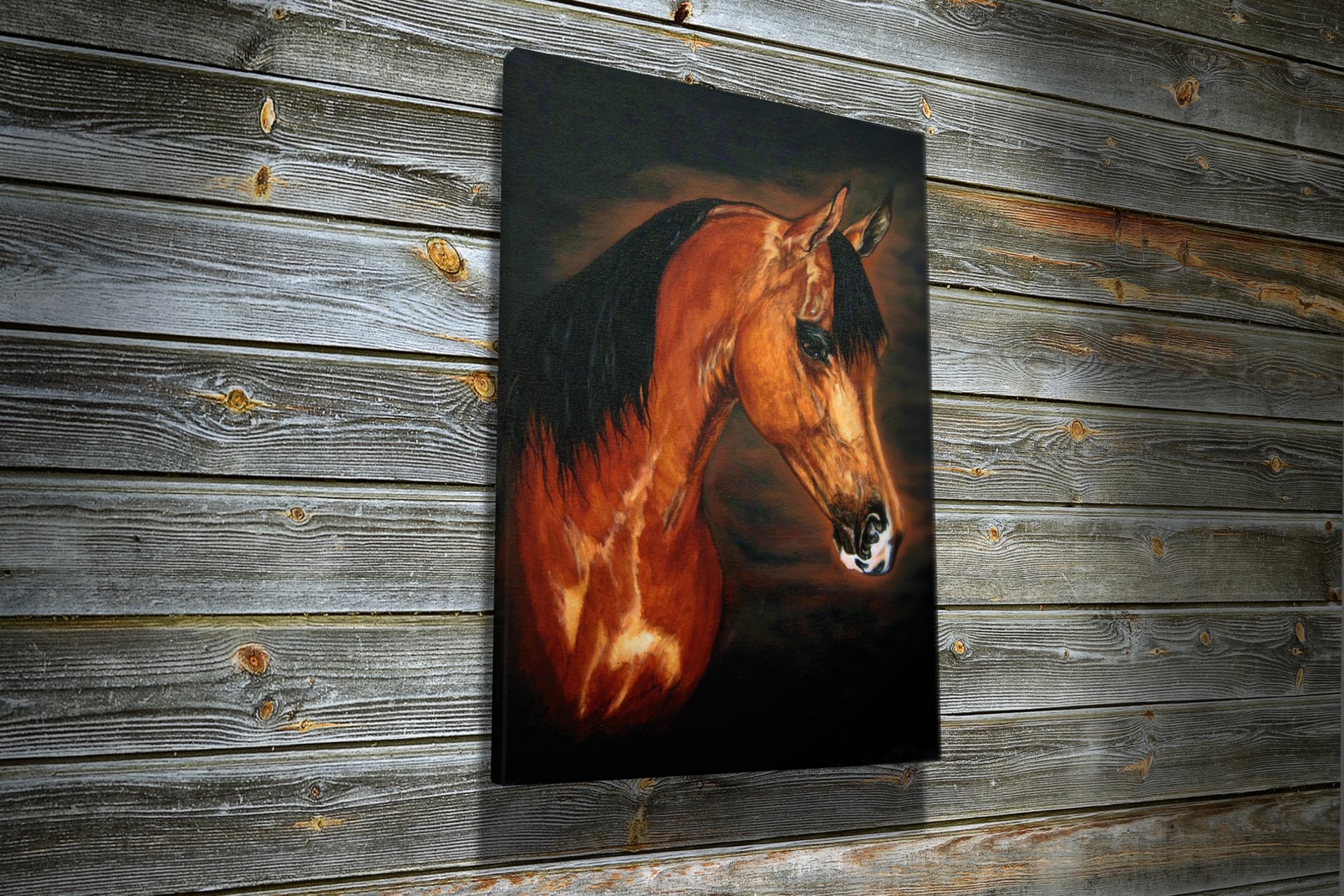 Showoffs Custom Equine Displays & Design