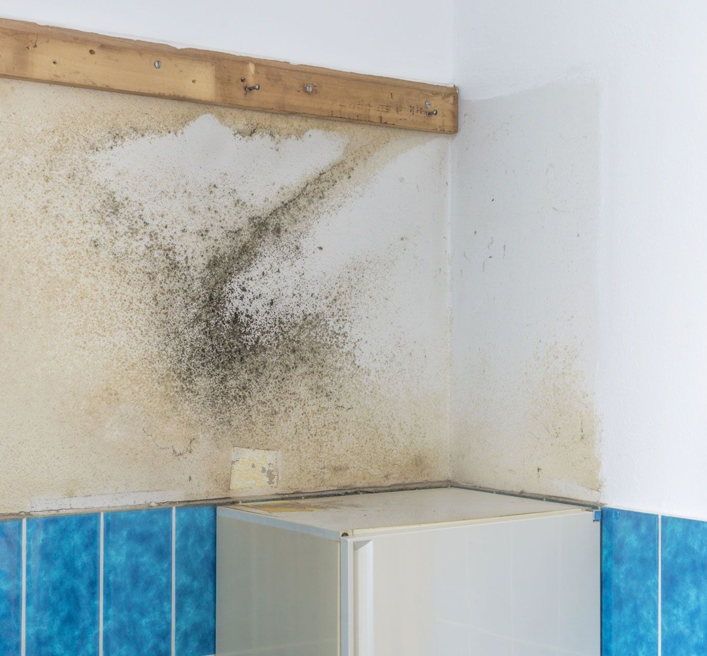 House And Magnifying Glass | Home Inspection
