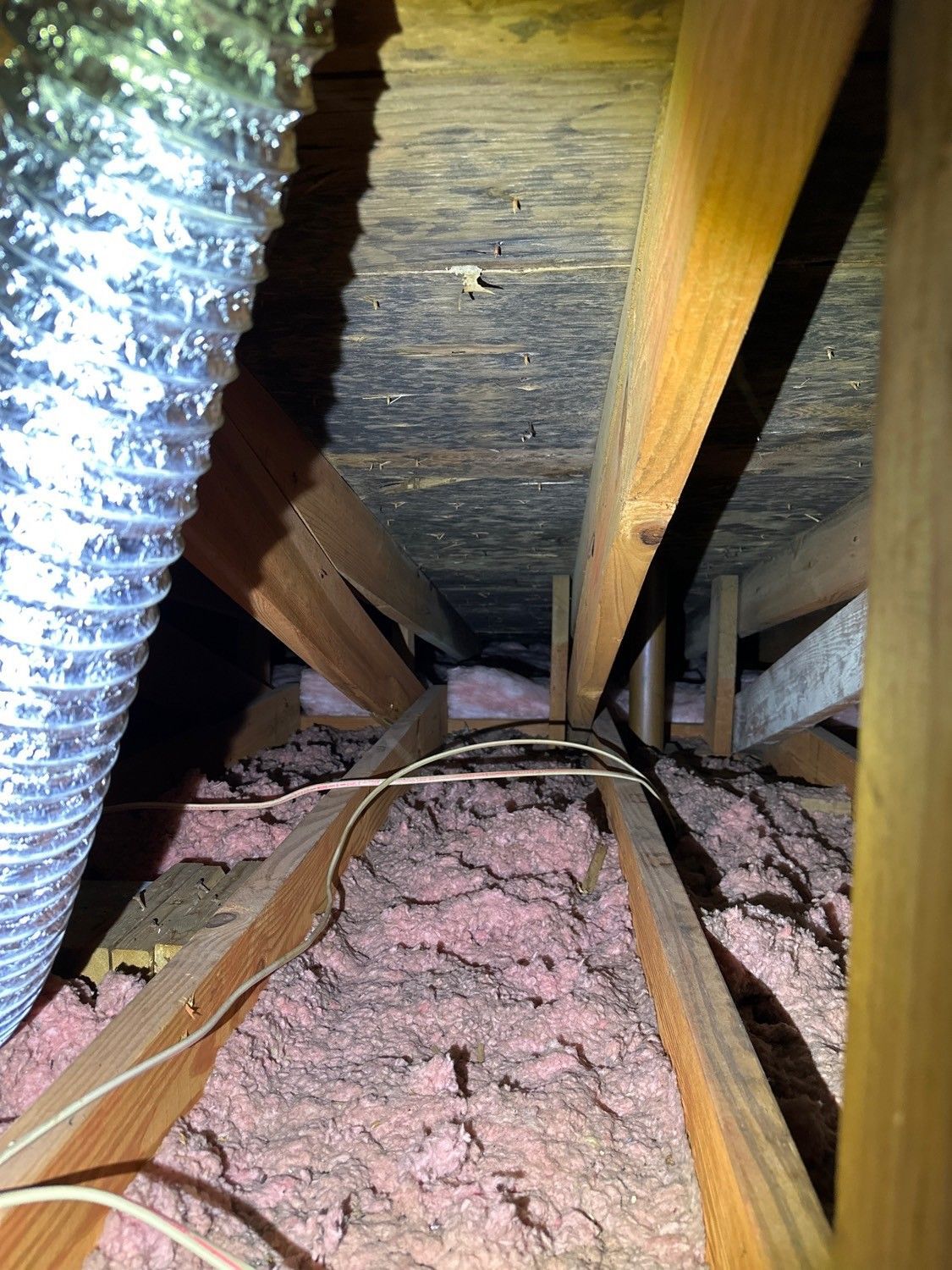 House And Magnifying Glass | Home Inspection