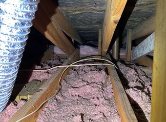 MOLD INSPECTION