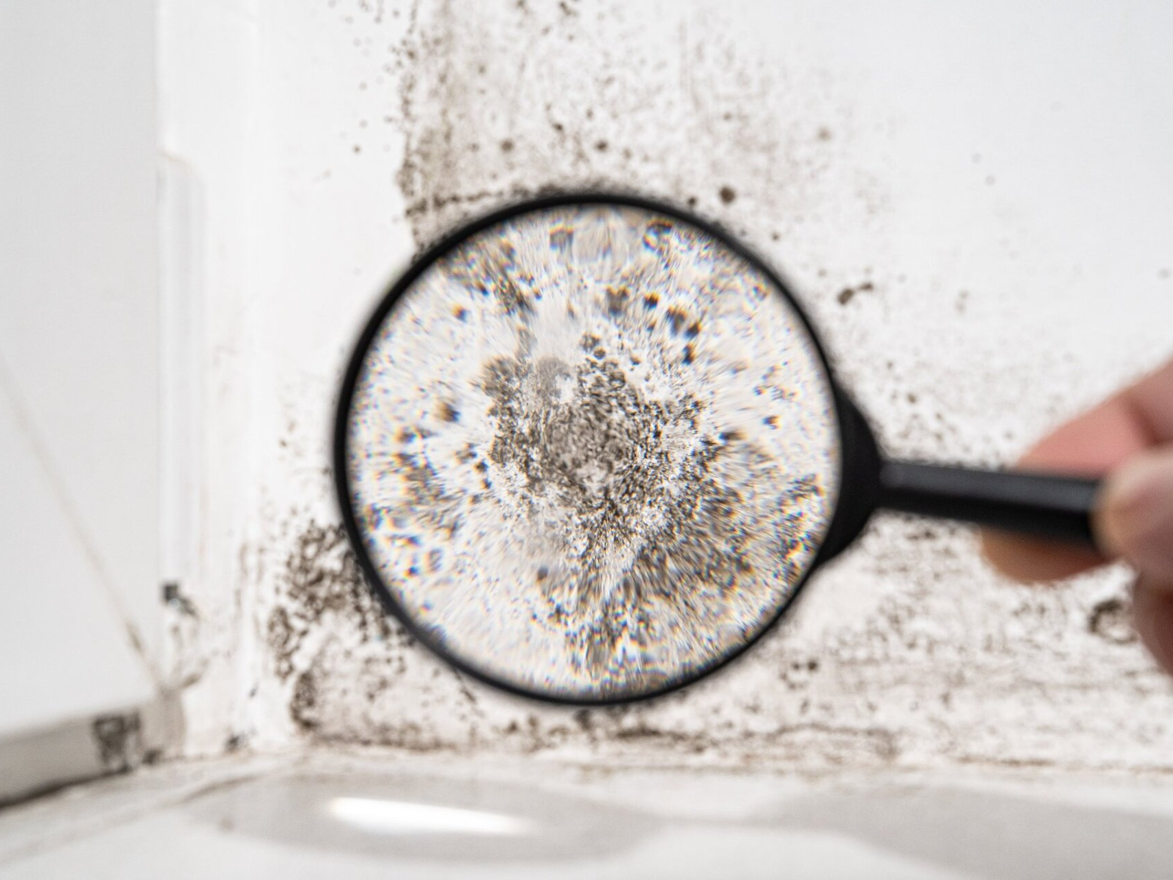 House And Magnifying Glass | Home Inspection