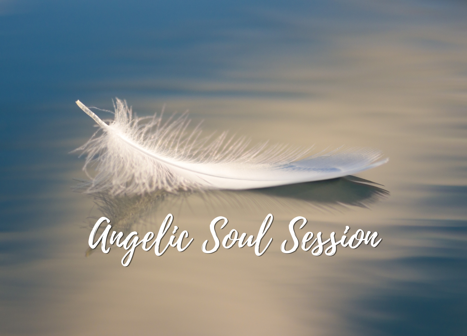 Feather on Beach