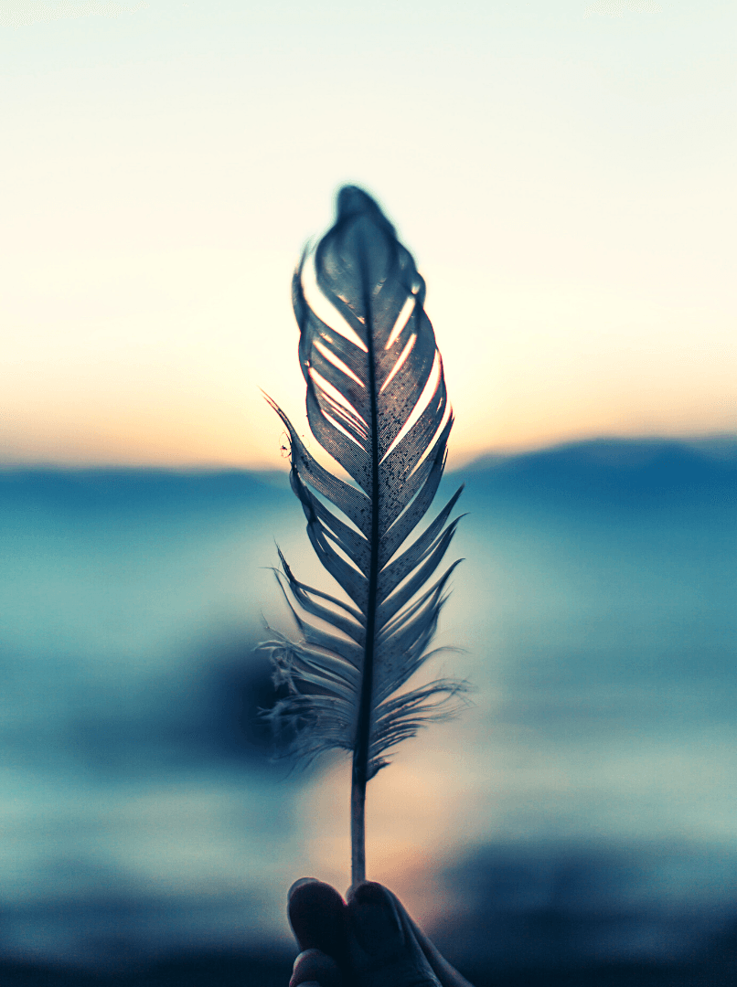 A person is holding a feather in their hand in front of the ocean.
