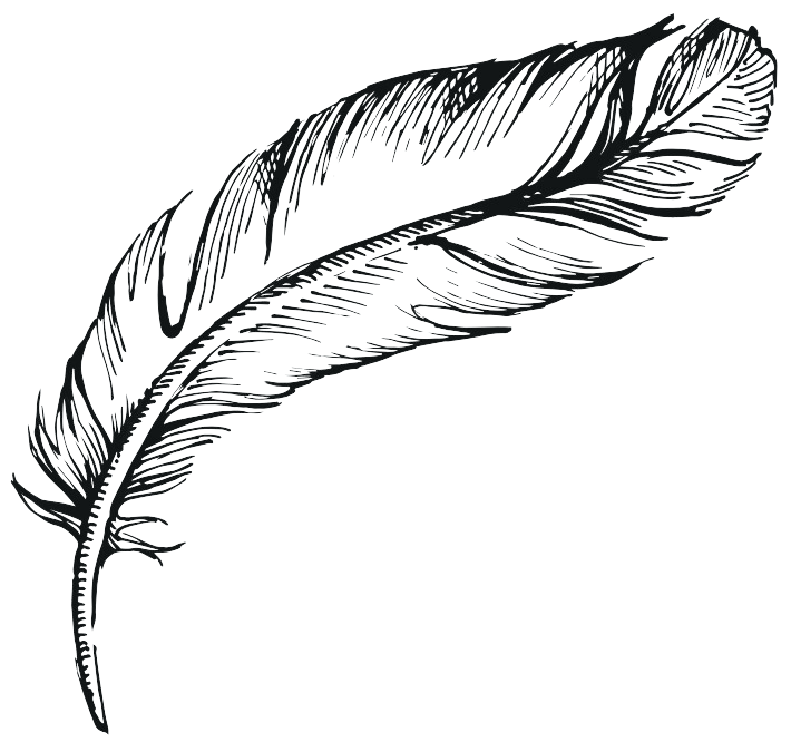 A black and white drawing of a feather on a white background.