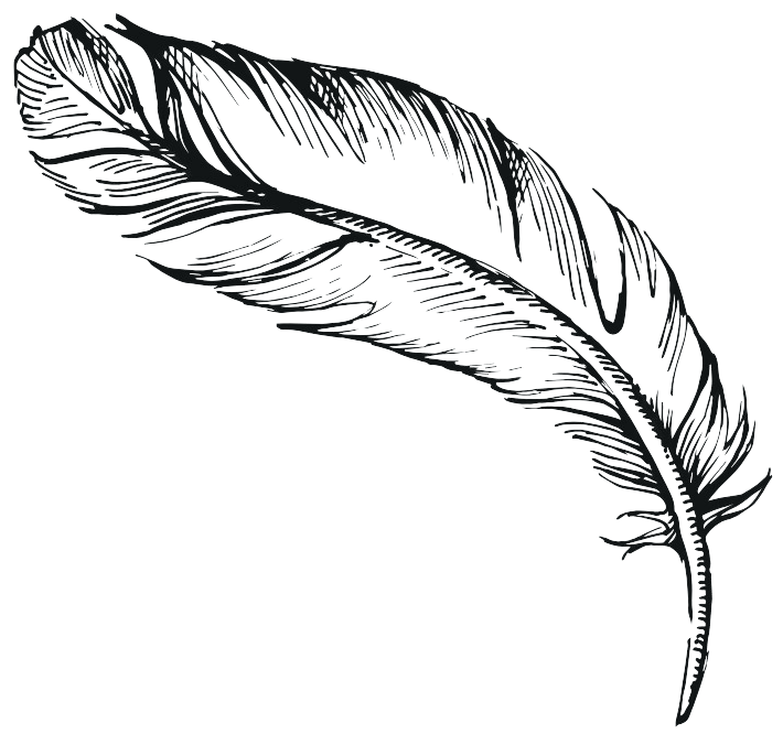 A black and white drawing of a feather on a white background.