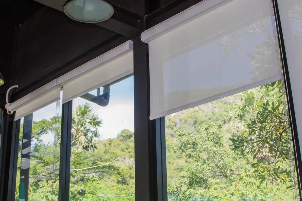 Roller blinds over black framed windows — Summerland Screens & Awnings In Ballina, NSW