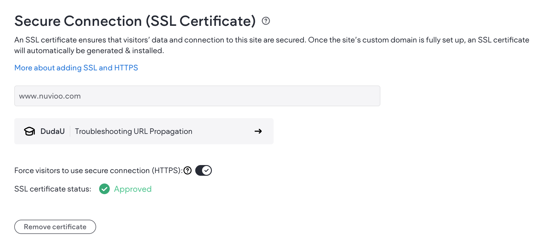 Secure Connection settings: SSL Certificate. Domain: marked as secure, 