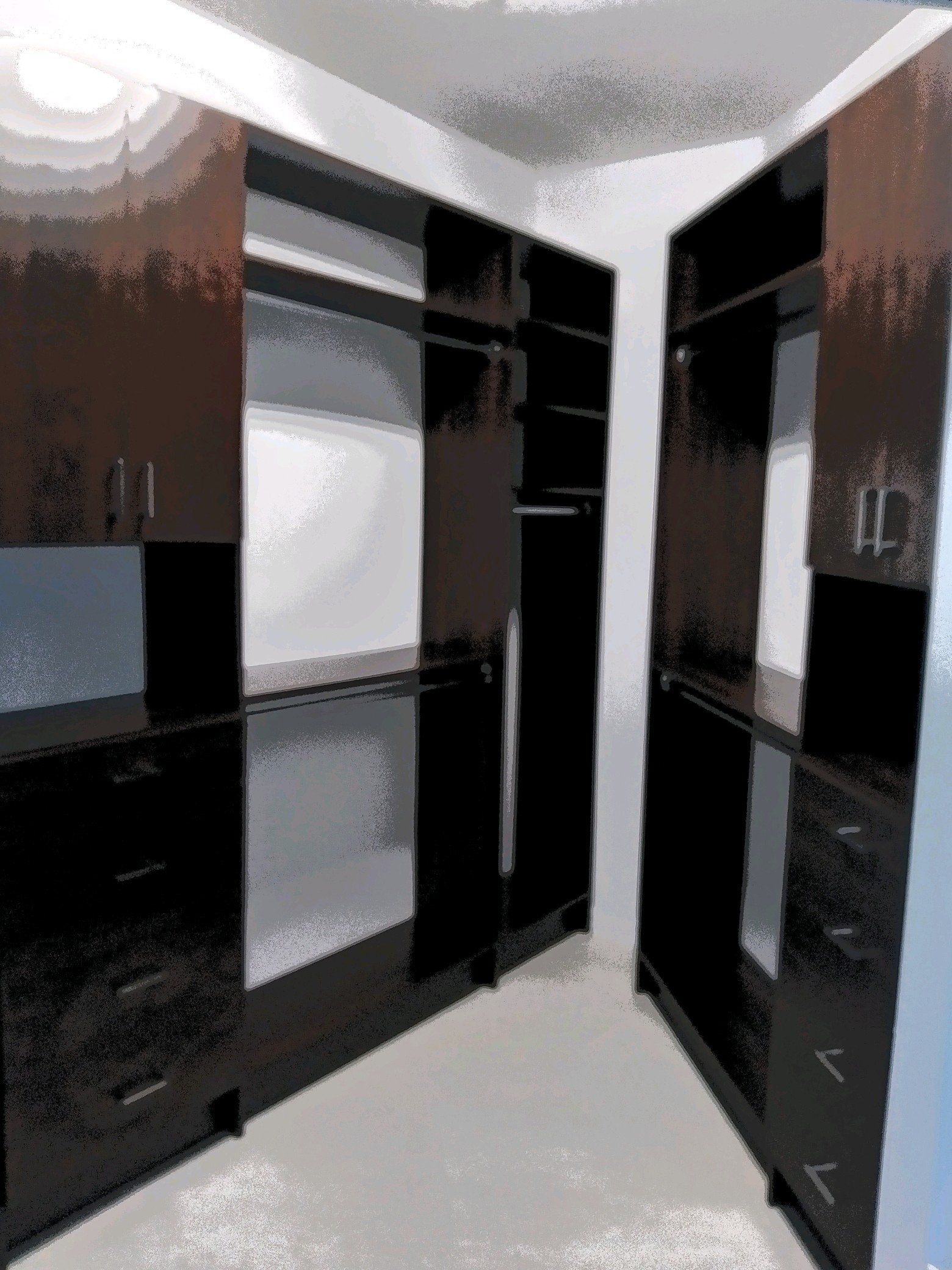 Custom Closet System Project