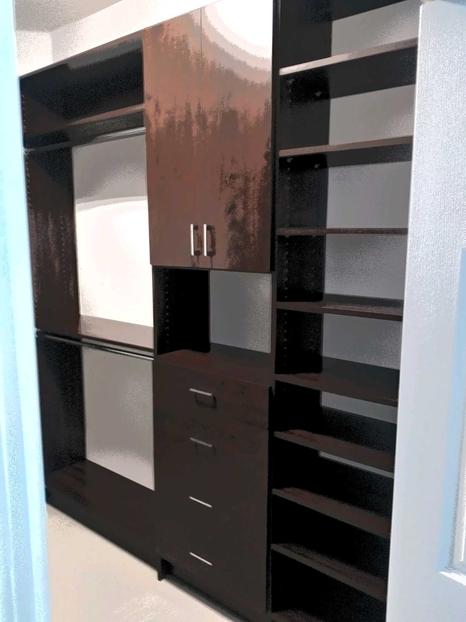 Custom Closet System Project