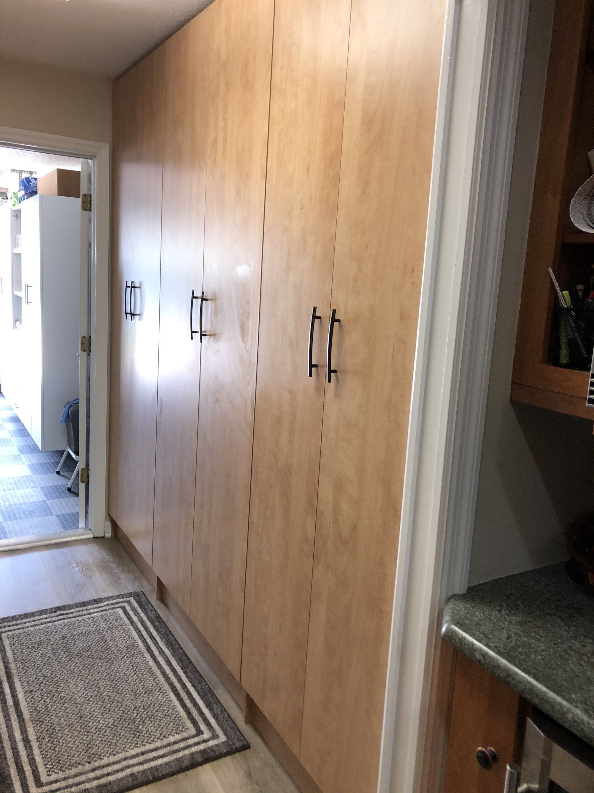 Custom Laundry Room System Project